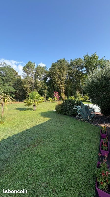 Maison à vendre, 160m², Saucats