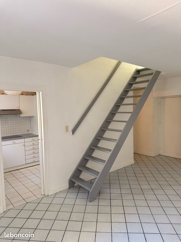 Appartement à louer, 45m², Nantes
