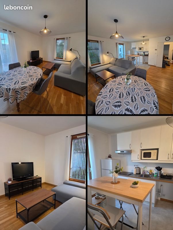 Appartement à louer, 55m², Tours