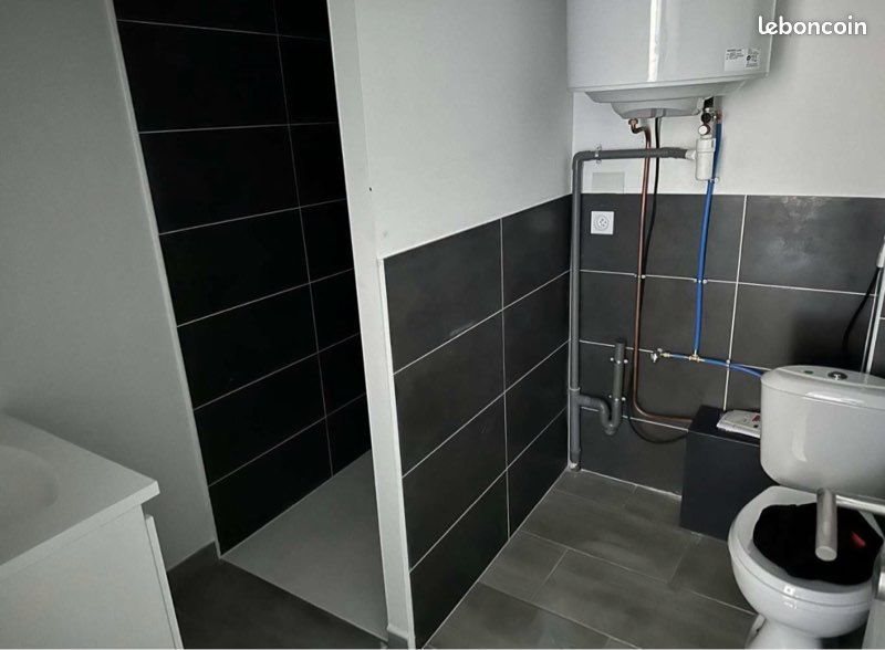 Appartement à louer, 42m², Saint-Symphorien-sur-Coise