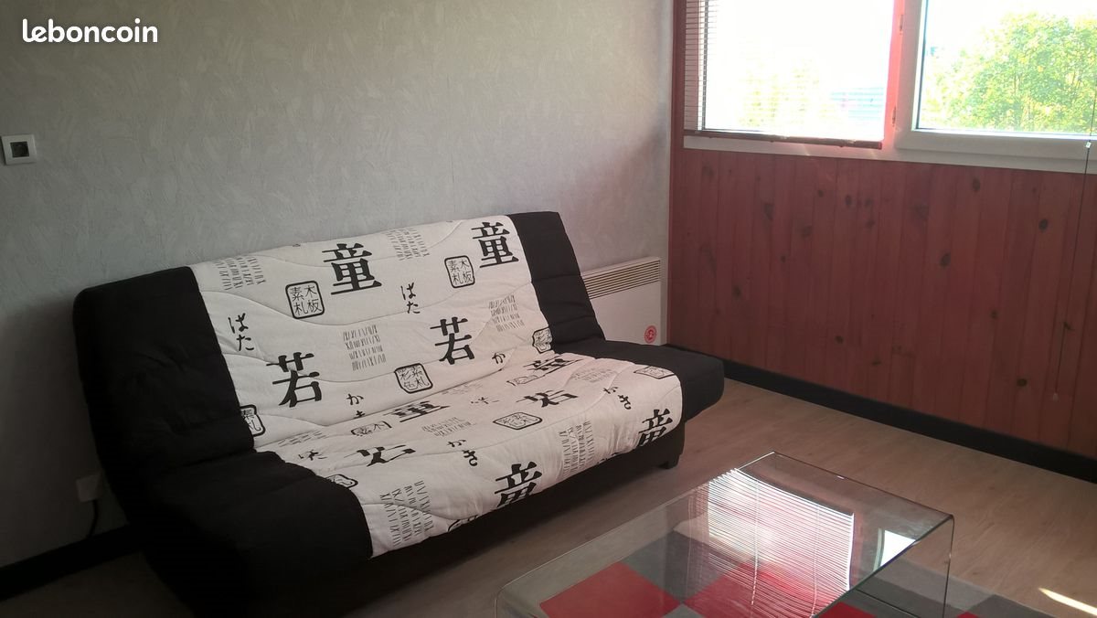 Appartement à louer, 19m², Pau