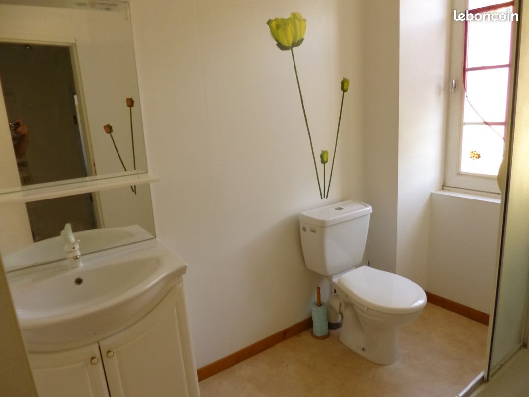 Appartement à louer, 40m², Mauléon-Licharre