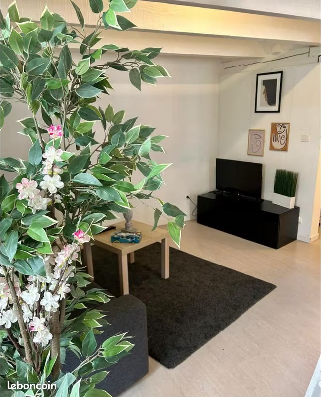 Appartement à vendre, 42m², Schiltigheim