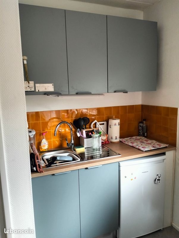 Appartement à louer, 19m², Nancy