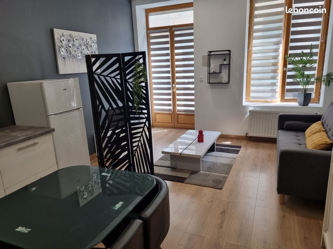 Appartement à louer, 45m², Saint-Étienne