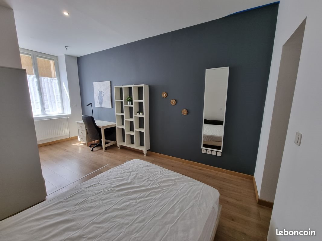 Appartement à louer, 45m², Saint-Étienne