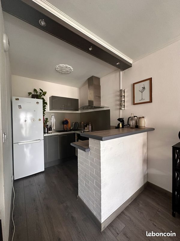 Appartement à louer, 47m², Olivet