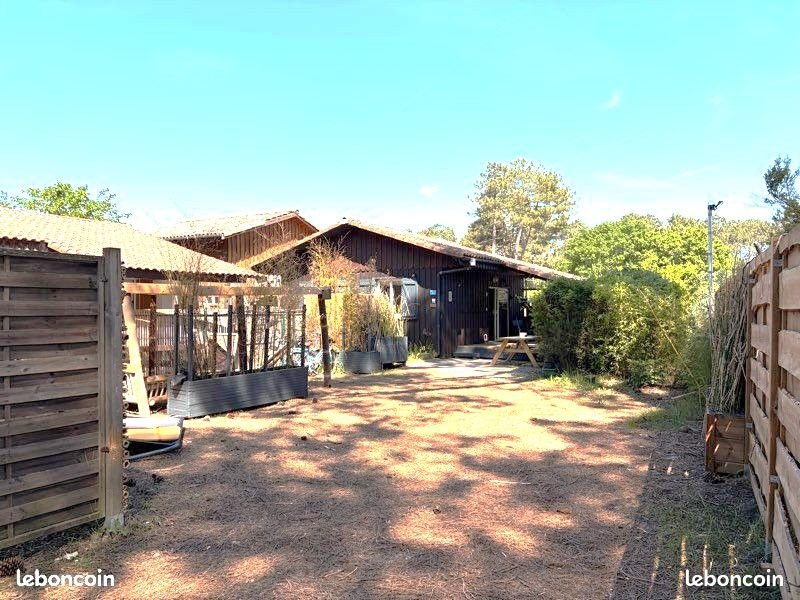 Maison à louer, 50m², Gujan-Mestras