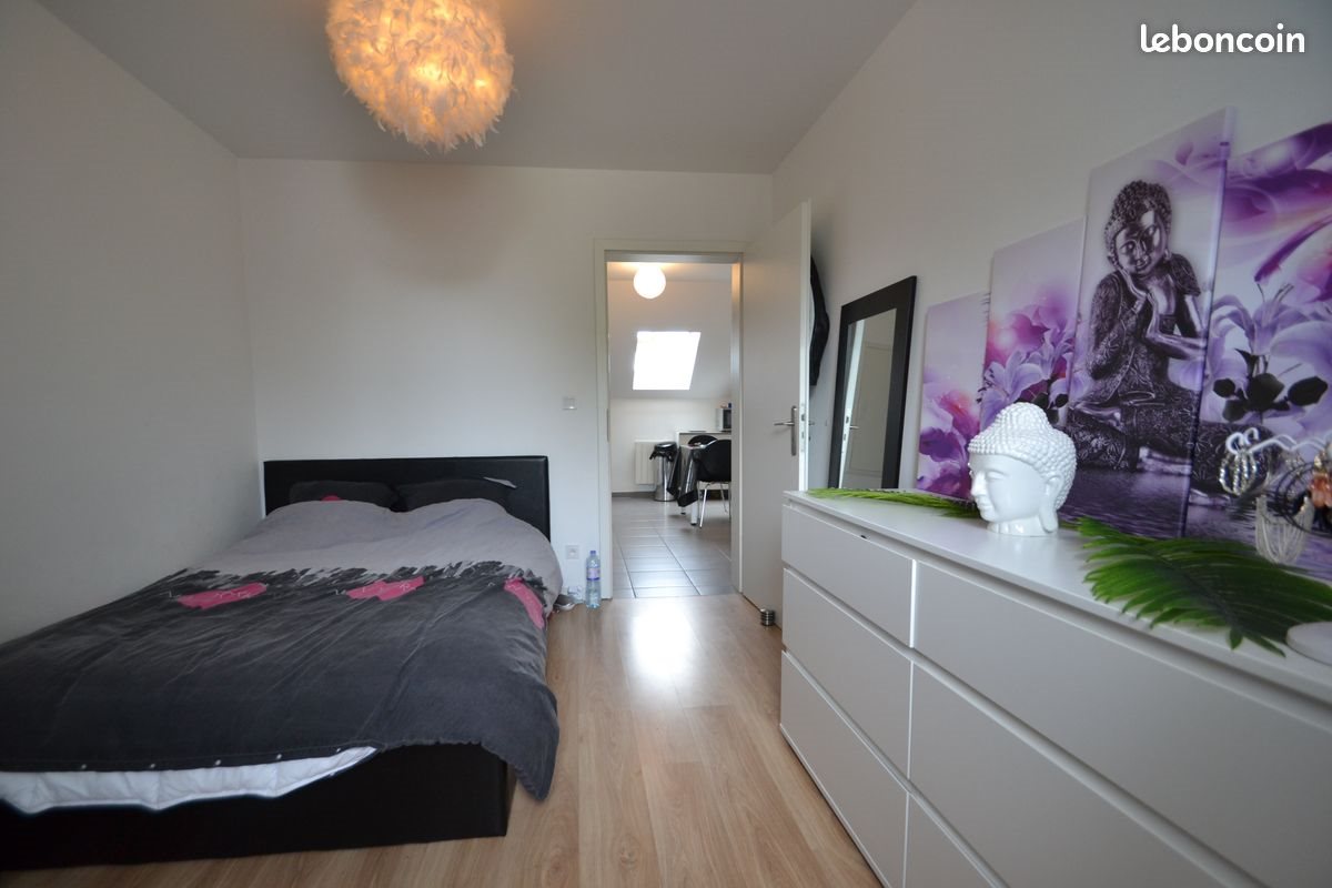 Appartement à louer, 55m², Mulhouse
