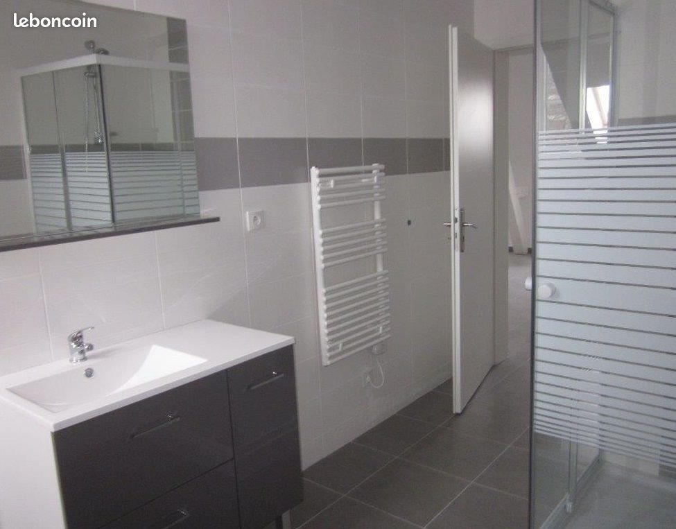 Appartement à louer, 55m², Mulhouse