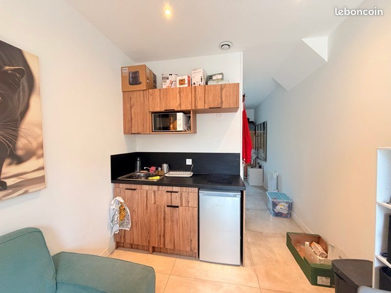 Appartement à louer, 22m², Oullins