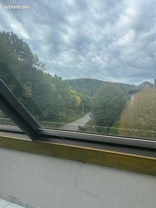 Appartement à louer, 140m², Lutzelbourg