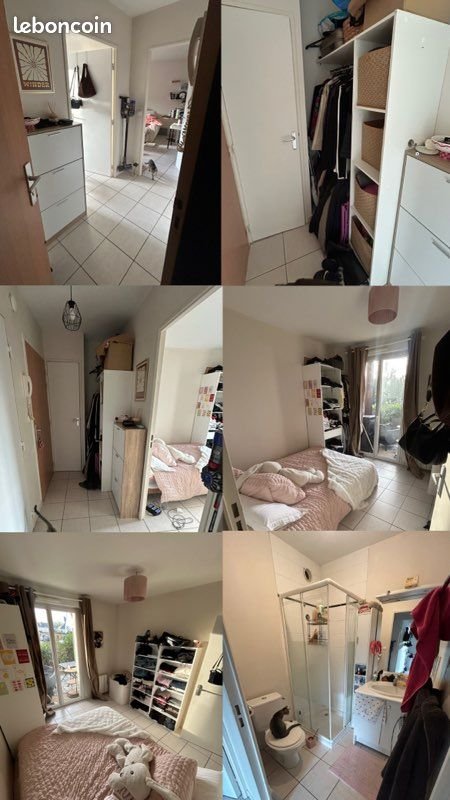 Appartement à louer, 35m², Saint-Avé