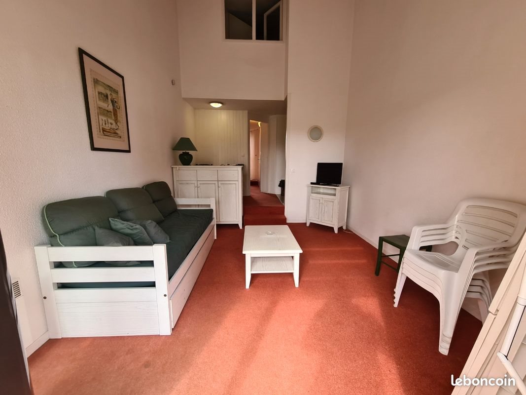Appartement à louer, 40m², Saint-Cyprien