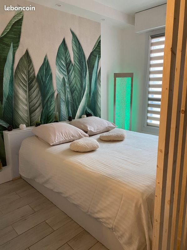 Appartement à louer, 48m², Belfort
