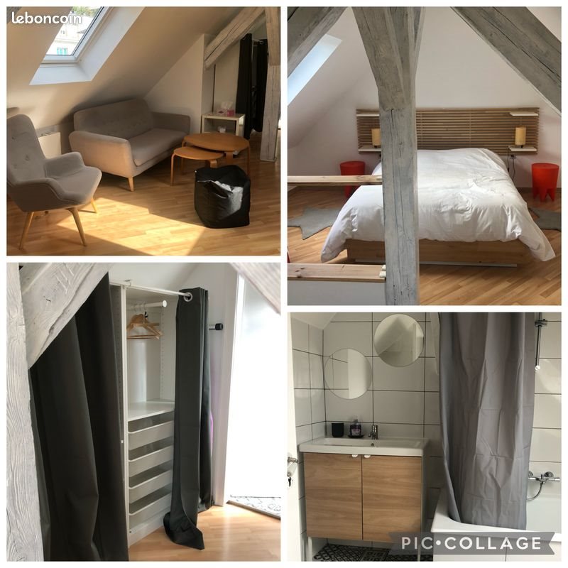 Appartement à louer, 53m², Strasbourg