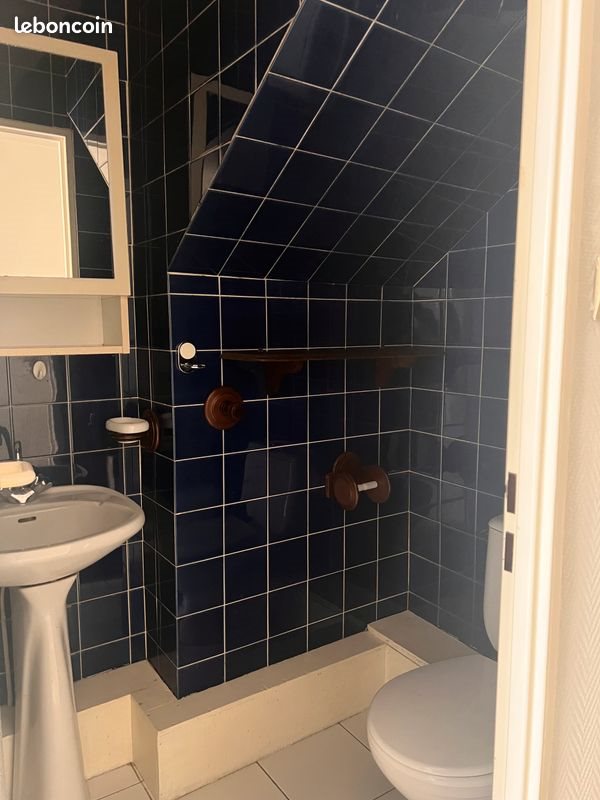 Appartement à louer, 23m², Saint-Étienne
