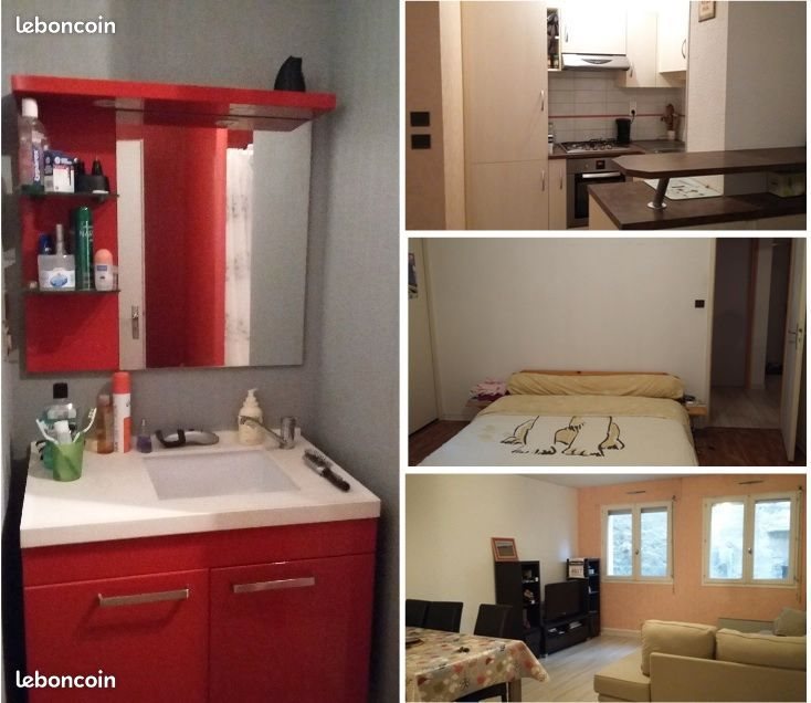 Appartement à louer, 48m², Mende