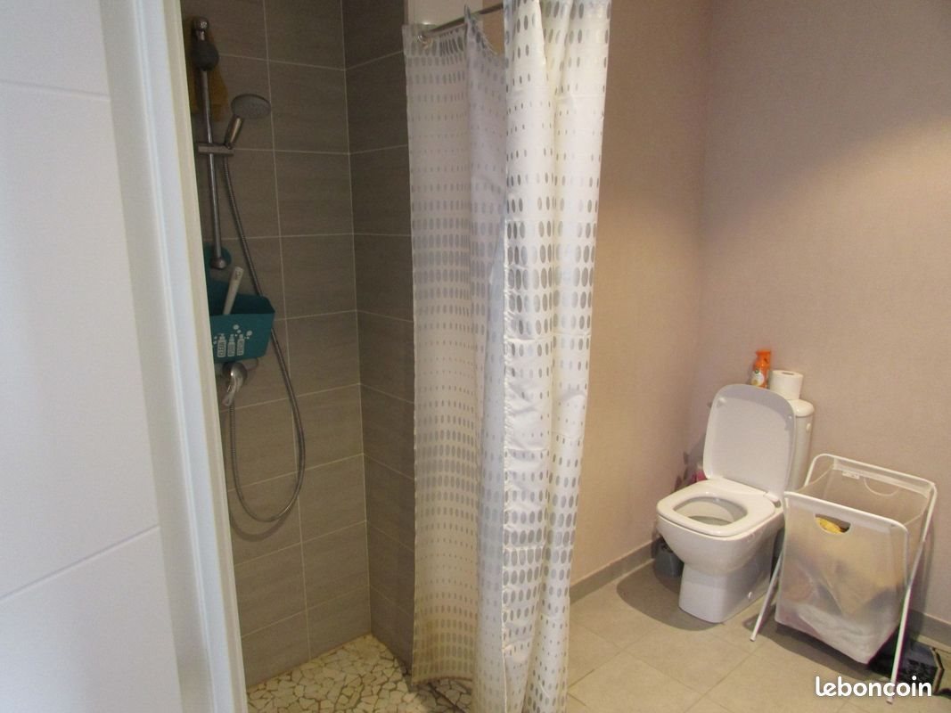 Appartement à louer, 41m², Saint-Apollinaire