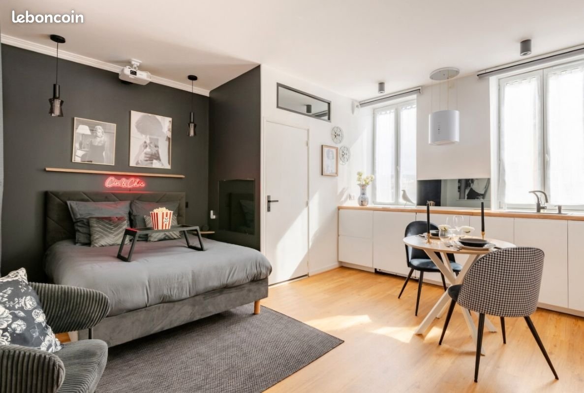 Appartement à louer, 25m², Saint-Étienne