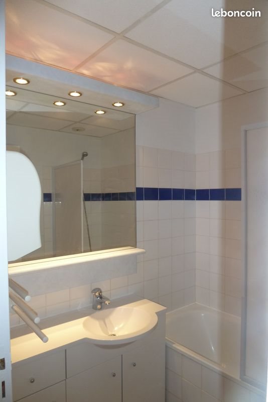 Appartement à louer, 35m², Riom