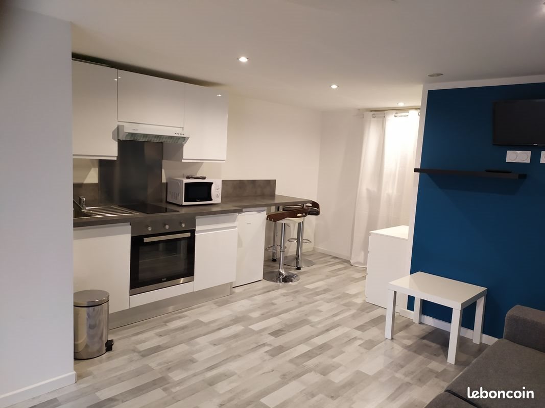 Appartement à louer, 21m², Saint-Etienne