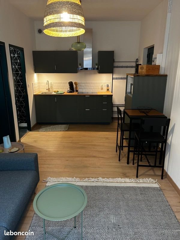 Appartement à louer, 33m², Saint-Genest-Lerpt