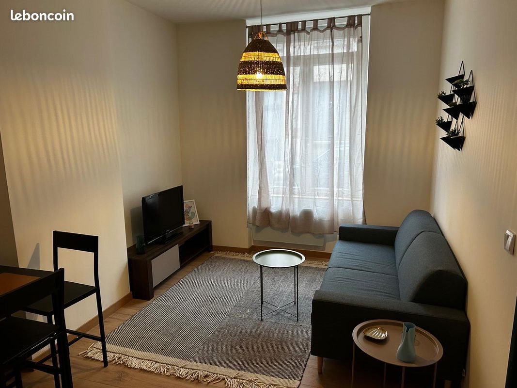 Appartement à louer, 33m², Saint-Genest-Lerpt