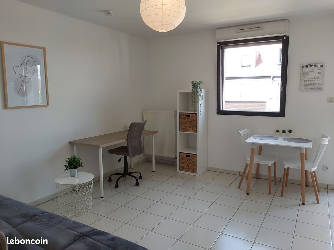 Appartement à louer, 23m², Colmar