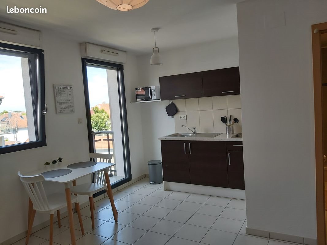 Appartement à louer, 23m², Colmar