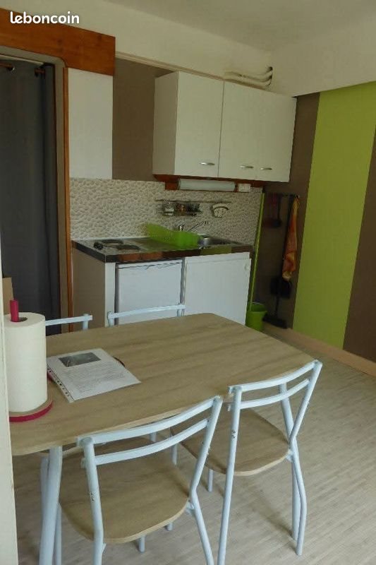 Appartement à louer, 26m², Mende
