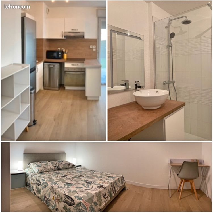Appartement à louer, 42m², Toulouse
