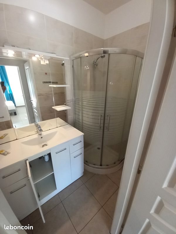 Appartement à louer, 45m², Bron