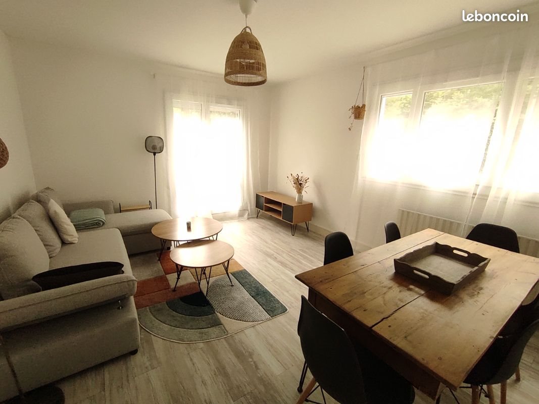 Appartement à louer, 45m², Saint-Étienne