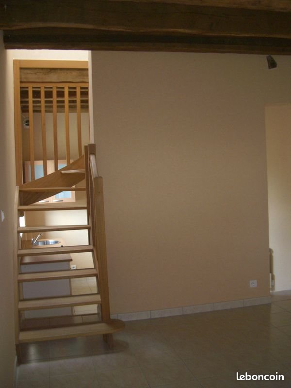Appartement à louer, 50m², Angers