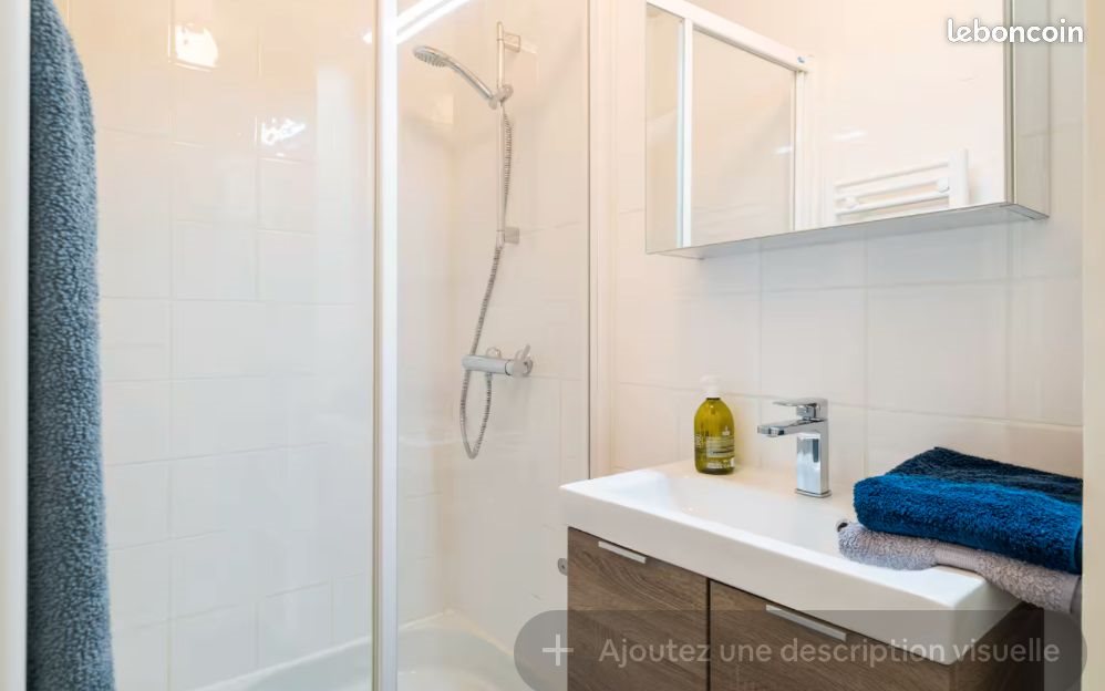 Appartement à louer, 54m², Lyon 3ème