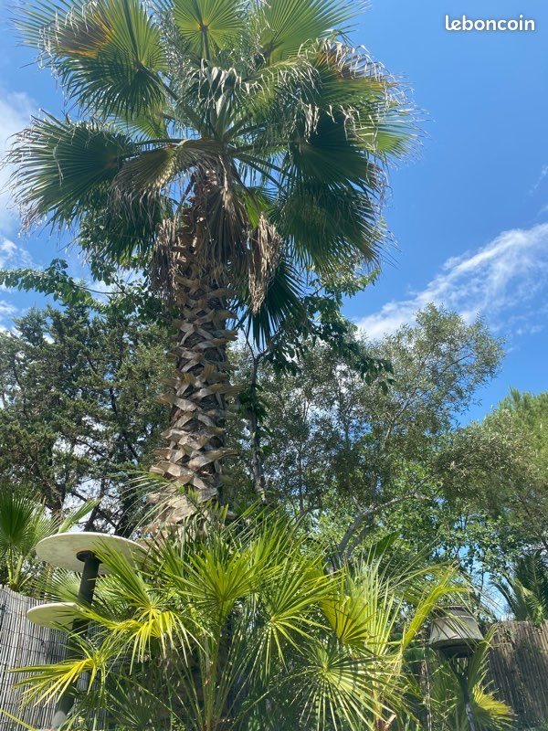 Maison à vendre, 90m², Vidauban