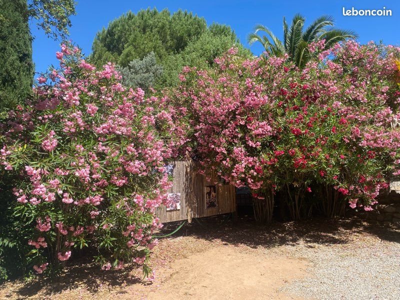 Maison à vendre, 90m², Vidauban