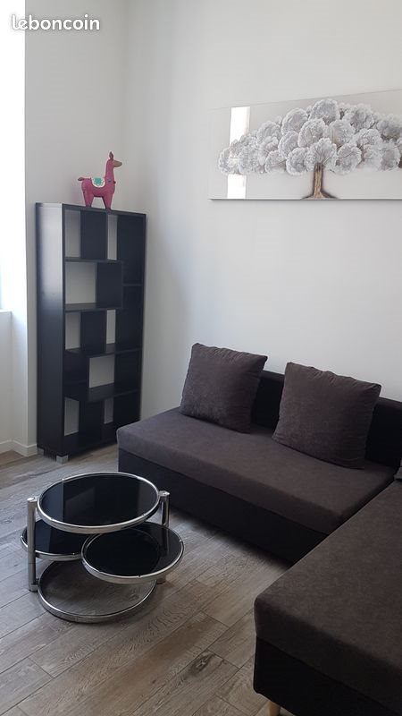 Appartement à louer, 28m², Lyon 7ème