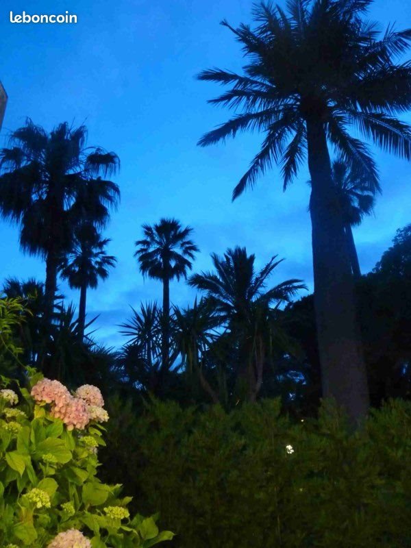 Appartement à louer, 43m², Cannes