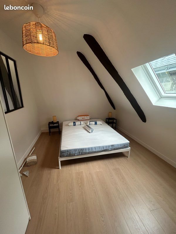 Appartement à louer, 44m², Tours