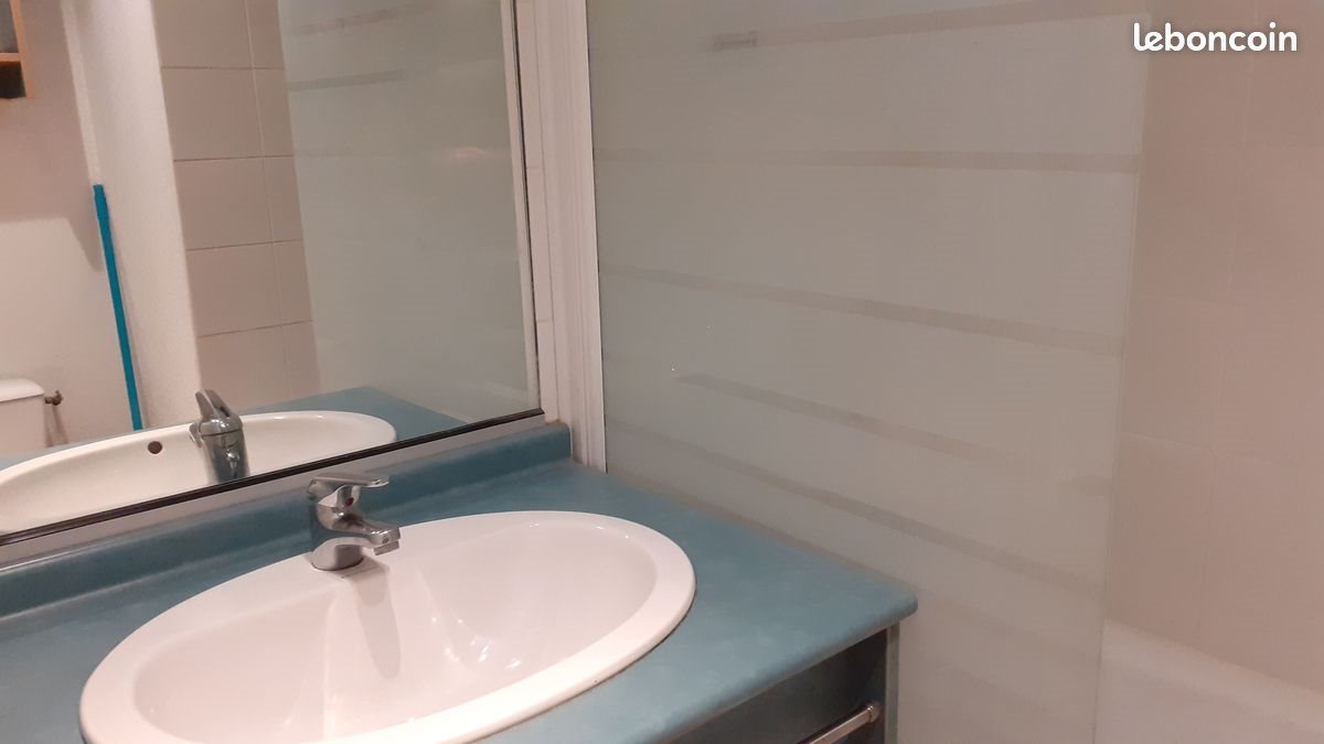 Appartement à louer, 19m², Saint-Etienne