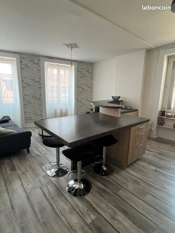 Appartement à louer, 50m², Saint-Etienne