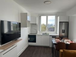 Appartement à louer, 45m², Suresnes