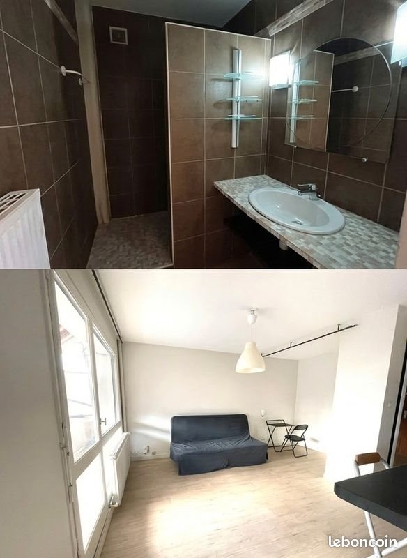 Appartement à louer, 31m², Saint-Étienne
