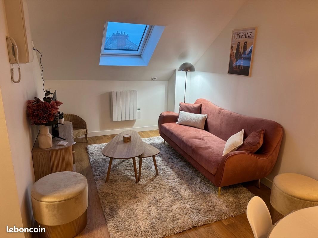Appartement à louer, 50m², Orléans