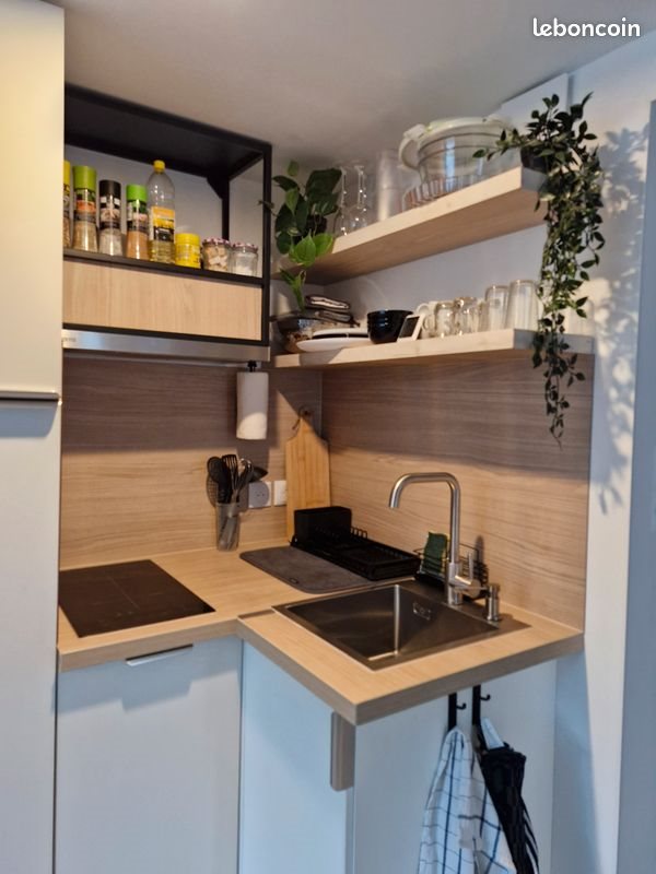 Appartement à louer, 20m², La Mulatière