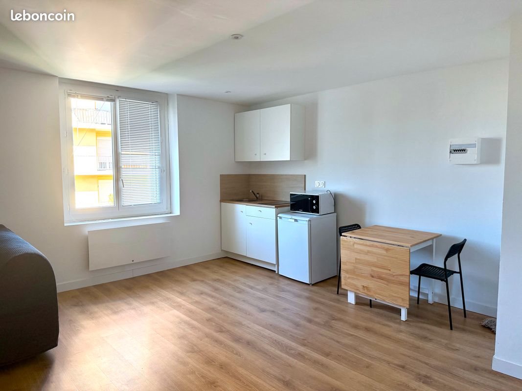 Appartement à louer, 29m², Saint-Etienne