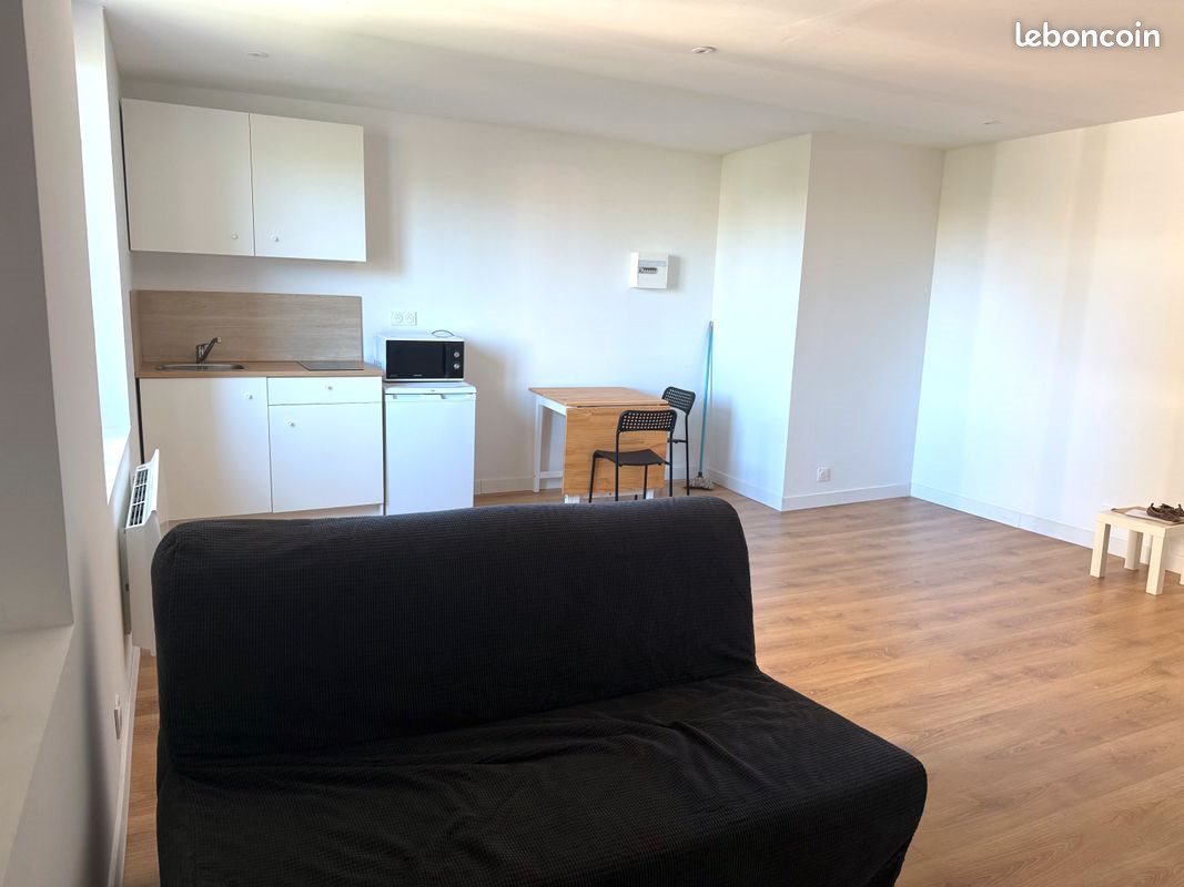 Appartement à louer, 29m², Saint-Etienne