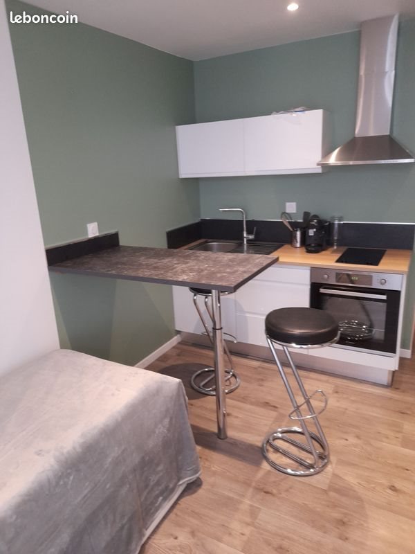 Appartement à louer, 20m², Le Puy-en-Velay